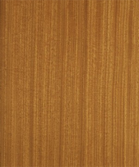 Lamine parke Afrormasia