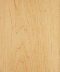 Lamine Parke Akçaağaç