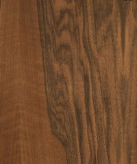 Lamine Parke Avrupa Ceviz