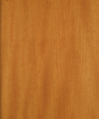 Lamine Parke Bilinga