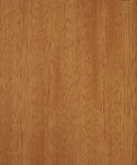 Lamine Parke Doussie