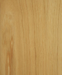 Lamine Parke Kestane