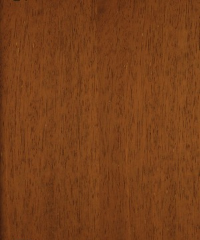 Lamine parke merbeau