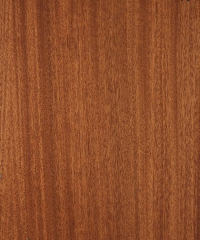 Lamine Parke Sapelli