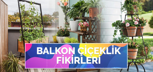 Bahçeniz İçin Birbirinden Güzel 50 Bahçe Çiçeklik Fikri