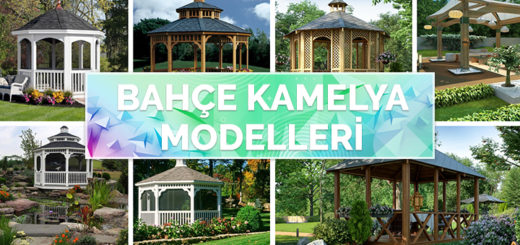 Bahçeniz İçin En Güzel 40 Bahçe Kamelyası Modeli