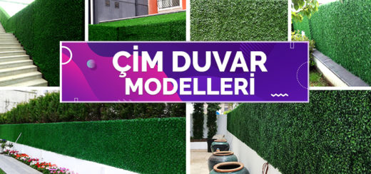 Çim Duvar ile Bahçe Duvarlarınızı Güzelleştirin