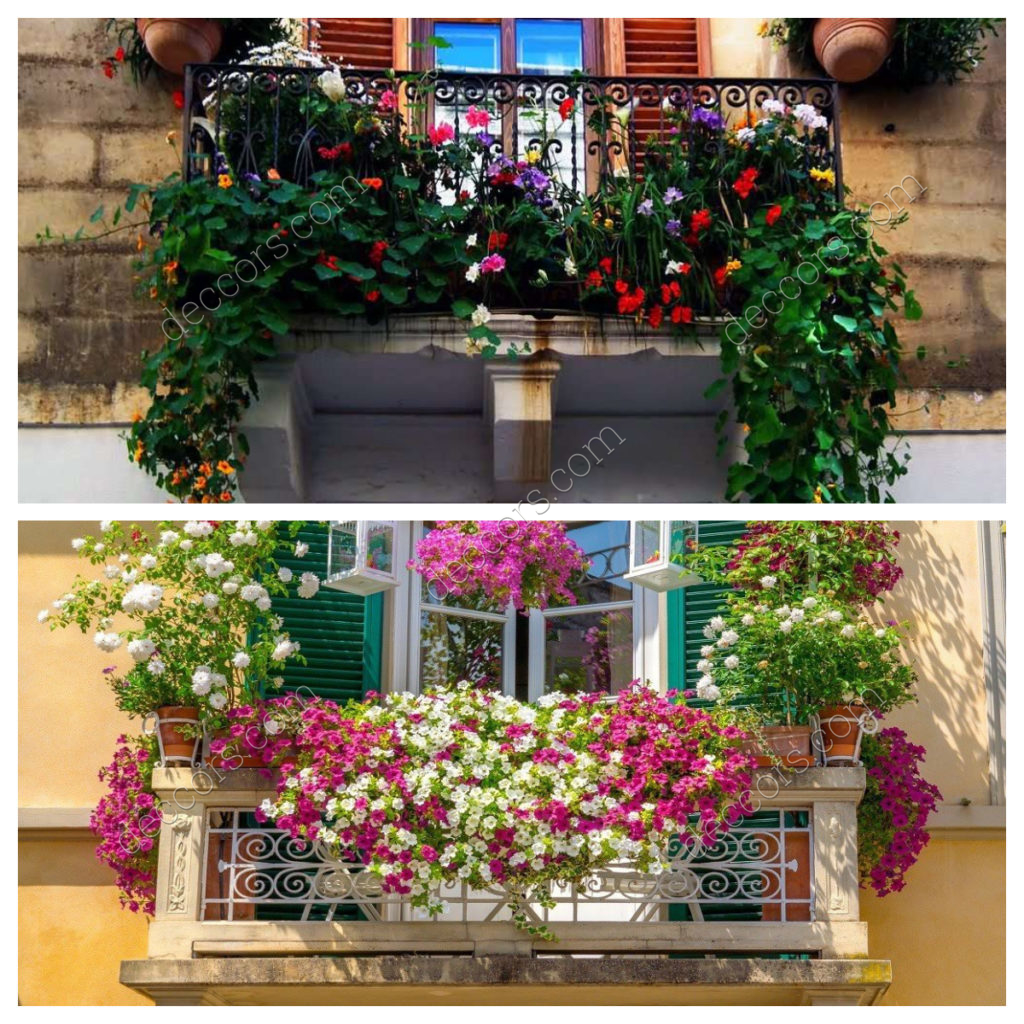 Çiçekli Fransız Balkon