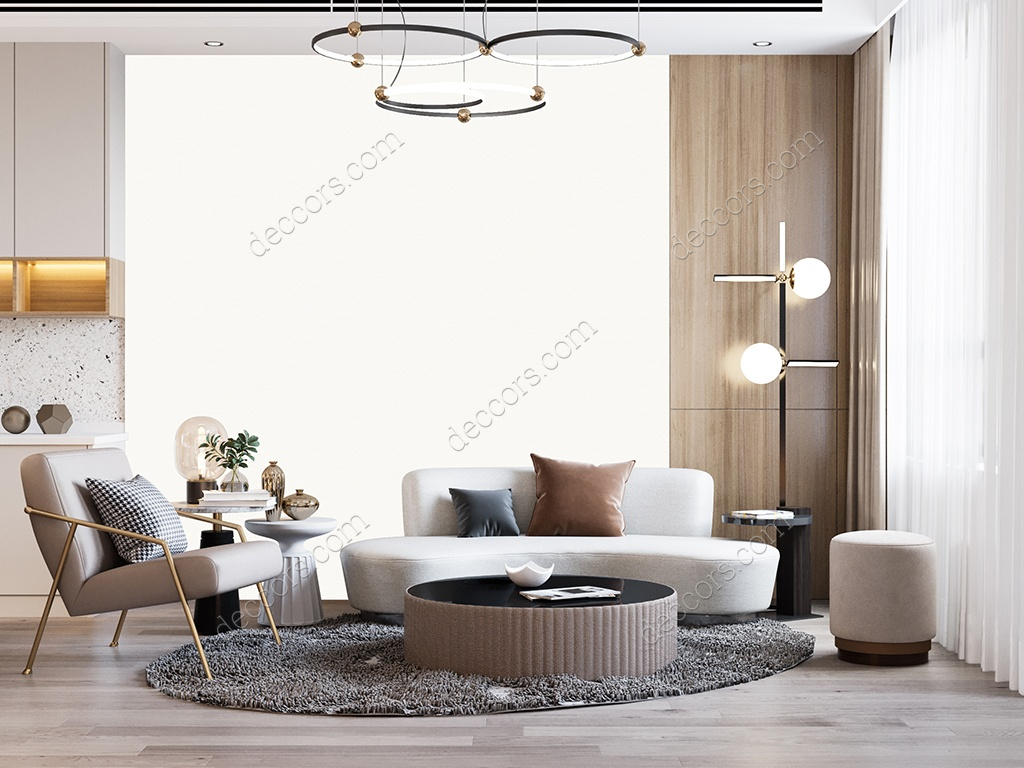 Salon Duvar Boyası Kırık Beyaz