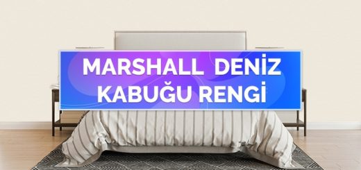Deniz Kabuğu Rengi Duvar Boyası Örnekleri
