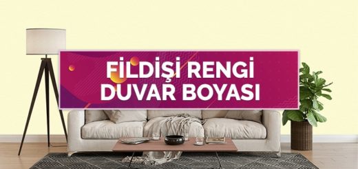 Fildişi Rengi Duvar Boyası Örnekleri ve Renk Kodu