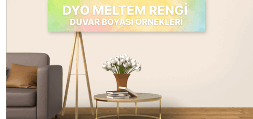 Dyo Meltem Rengi Duvar Boyası Örnekleri
